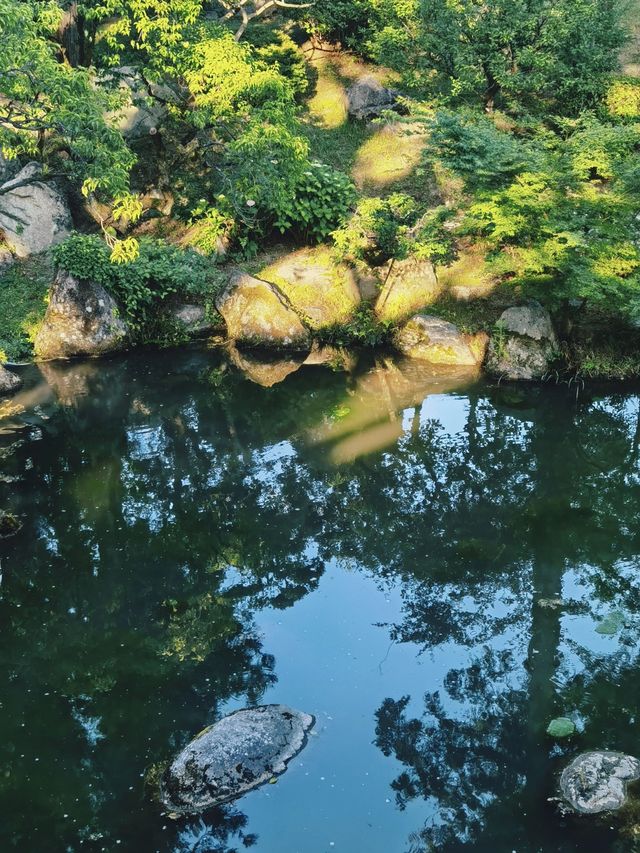 過年去日本5天行程攻略速覽