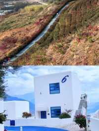 四川米易！！冬日美景狠狠get住啦！！