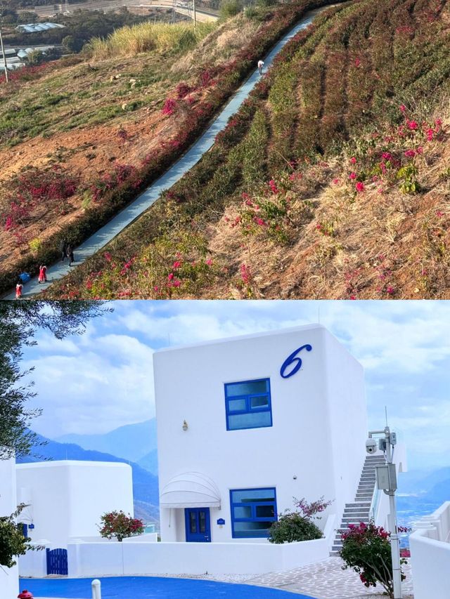 四川米易！！冬日美景狠狠get住啦！！