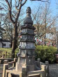 蛇年初七，邂逅古猗園的歲朝雅韻