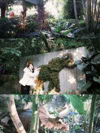 歡迎來到東京夢之島植物園！這裡是一個充滿熱帶風情的奇幻世界