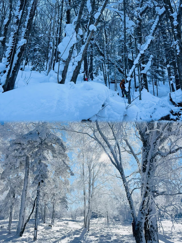 我上春山與你來見