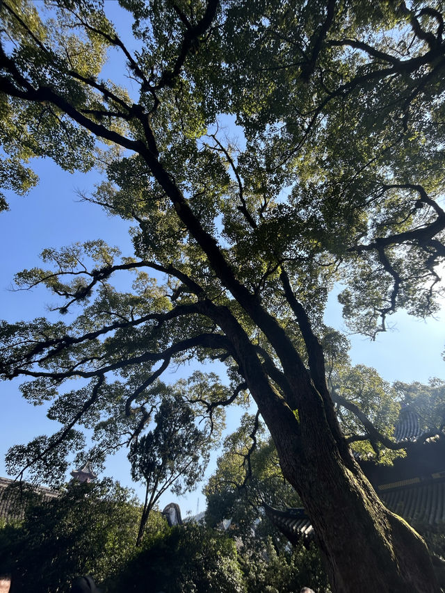 寧波阿育王寺