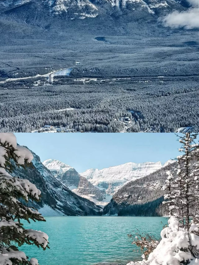 費爾蒙露易絲湖酒店|住在班夫裏面看雪景