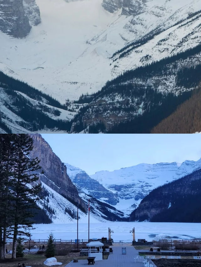 費爾蒙露易絲湖酒店|住在班夫裏面看雪景