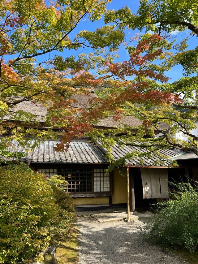7日深度遊 冬日裏的日本別樣風情