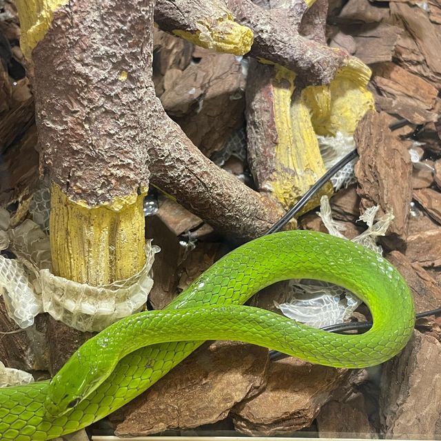 吉林遼源市田雨小鎮:田園詩畫中的夢幻樂園 吉林遼源市田雨小鎮:田園詩畫中的夢幻樂園