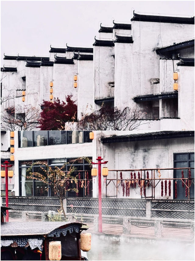 婺女洲歸來，快樂值拉滿了
