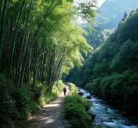 湖南益陽風景旅遊點推薦