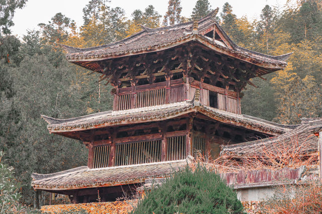 舊時光的對話_景寧_時思寺