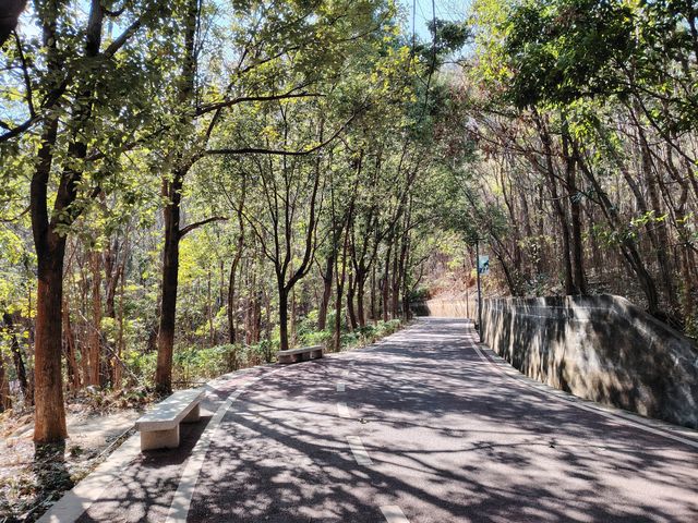 漫步冬日暖陽下的攀枝花公園