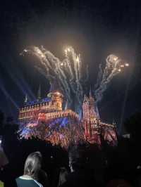 Orlando New Year Disney + Universal Four-Day Five-Park Adventure (Part 2)