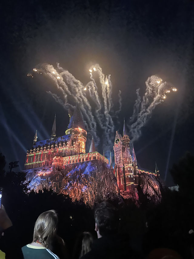 Orlando New Year Disney + Universal Four-Day Five-Park Adventure (Part 2)