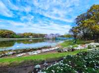 長居公園
