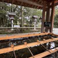 🇯🇵必訪！橿原神宮，日本建國神話的聖地✨