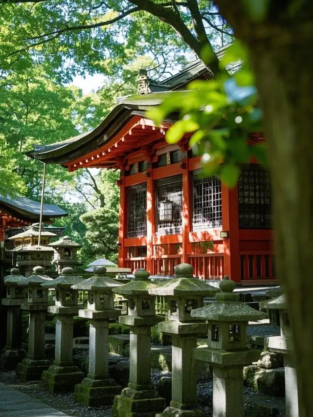 Start your Fukuoka Citywalk from Tenjin and unlock hidden gems and local life.