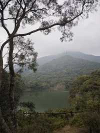 恩上濕地公園：期待與現實