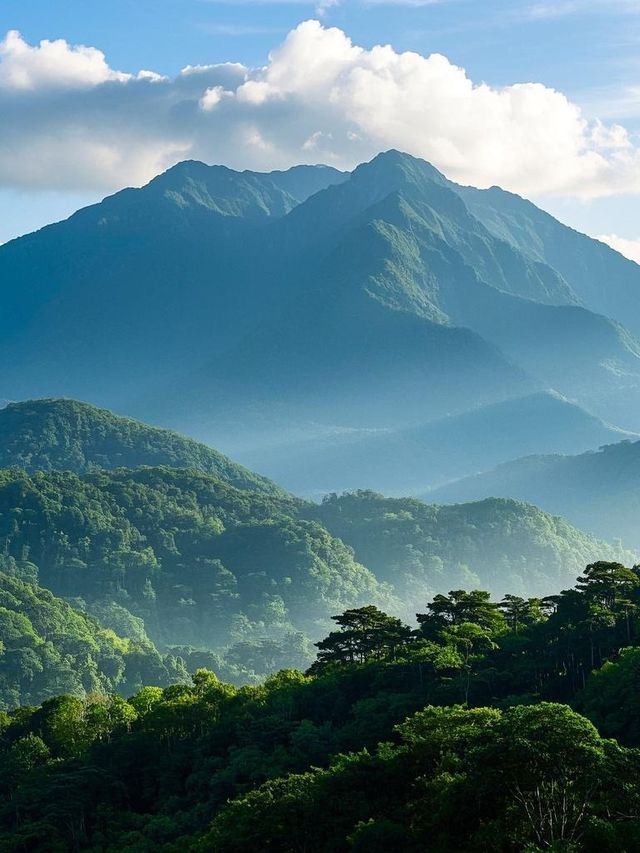 速來！探秘博羅縣小眾寶藏之旅