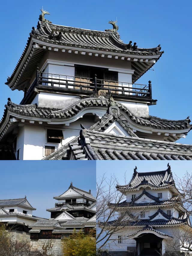 穿越百年，邂逅高知城的武士浪漫