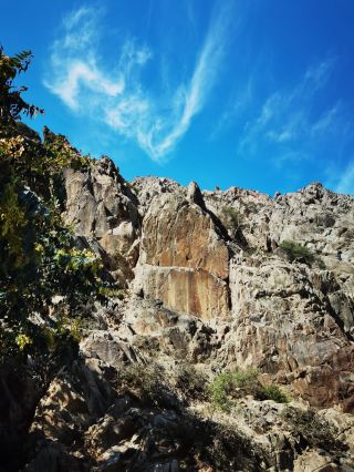 Qingming Festival Tour of Yinchuan-Zhongwei, Ningxia: Embrace the Spring Splendor