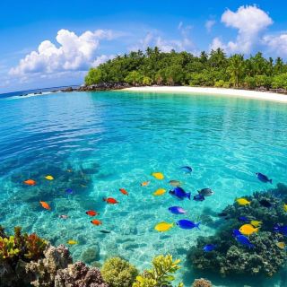 Gaya Island, a Dream Trip to a Niche Island Paradise