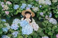 廣佛1小時直達心動樂園，闖入油畫裡的童話世界