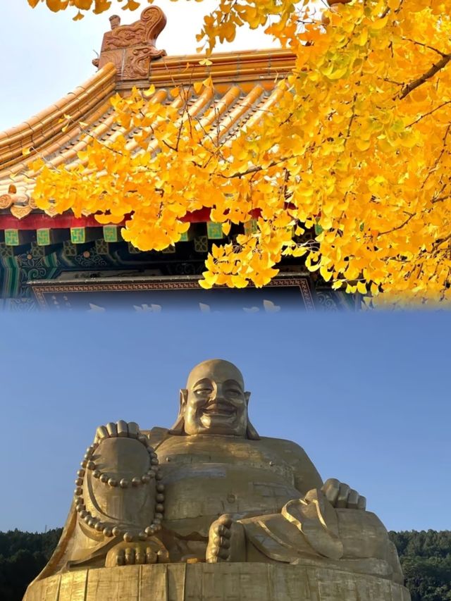千佛山之行，竟發現不為人知的......