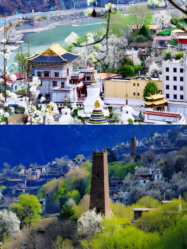 金川已回，說說我的真實感受。