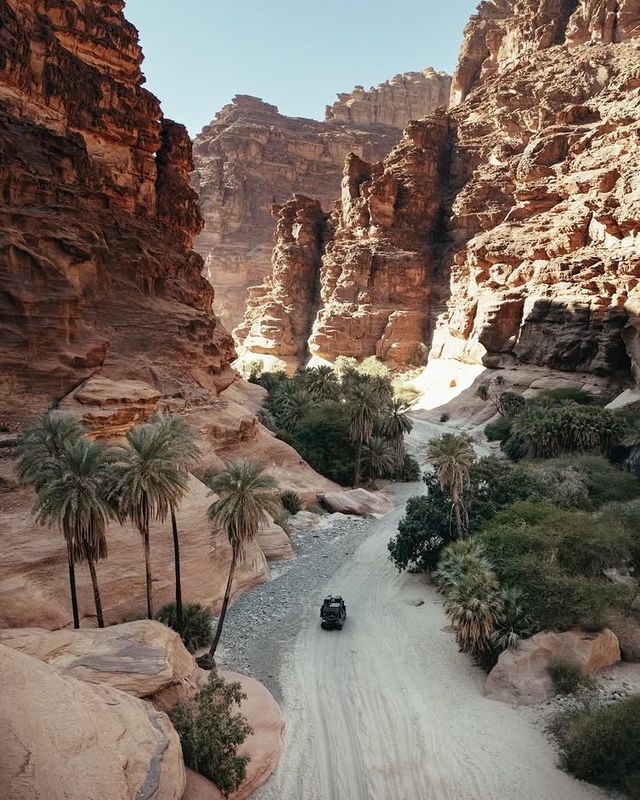 瓦迪艾爾海坦（Wadi Al-Hitan, Whale Valley）——穿越時空的「鯨魚谷」！