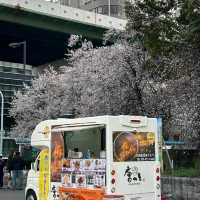 🌸大阪城邂逅櫻花浪漫，森之宮站的限定美景