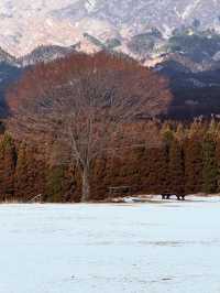 轻松惬意的九州旅行