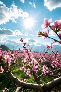 江西九江賞桃花攻略：邂逅江南絕美春日花海
