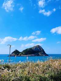 被韓國莞島郡美暈！小眾寶藏旅行地攻略奉上