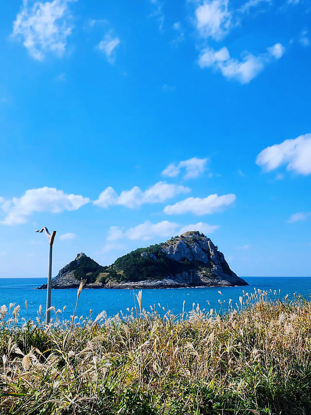 被韓國莞島郡美暈！小眾寶藏旅行地攻略奉上
