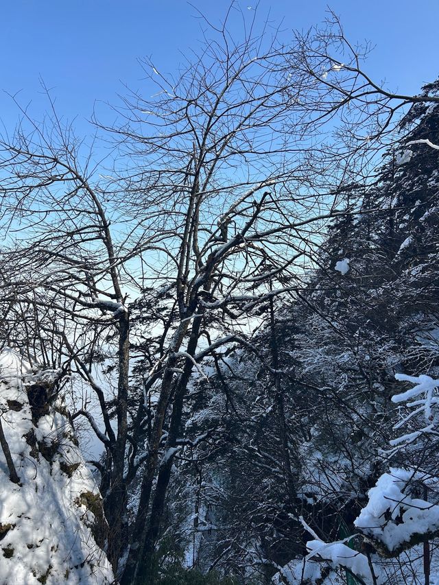 3日清明遊峨眉山 美景盡收眼底
