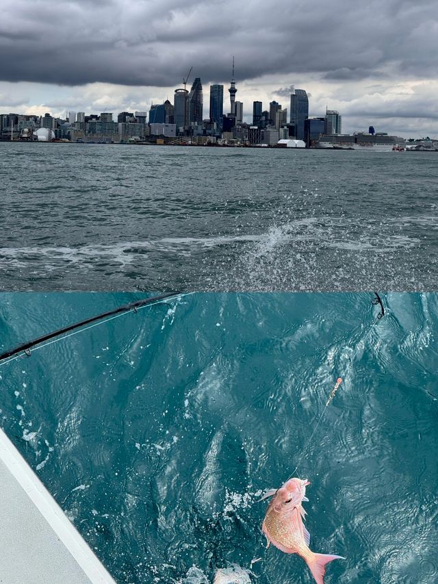 奧克蘭海釣｜解鎖夢幻海釣之旅