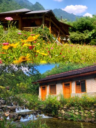 Shangba River National Forest Park | Exquisitely Beautiful
