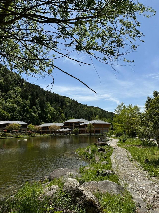 上壩河森林公園｜美得過份