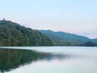 貴州隱藏版花海秘境！杜鵑湖春日攻略