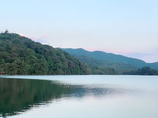 貴州隱藏版花海秘境！杜鵑湖春日攻略