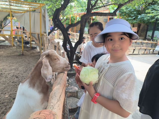 長春旅遊必備攻略（超全）