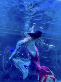 海底奇境的夢幻漫遊：觀瀾海洋世界的一日