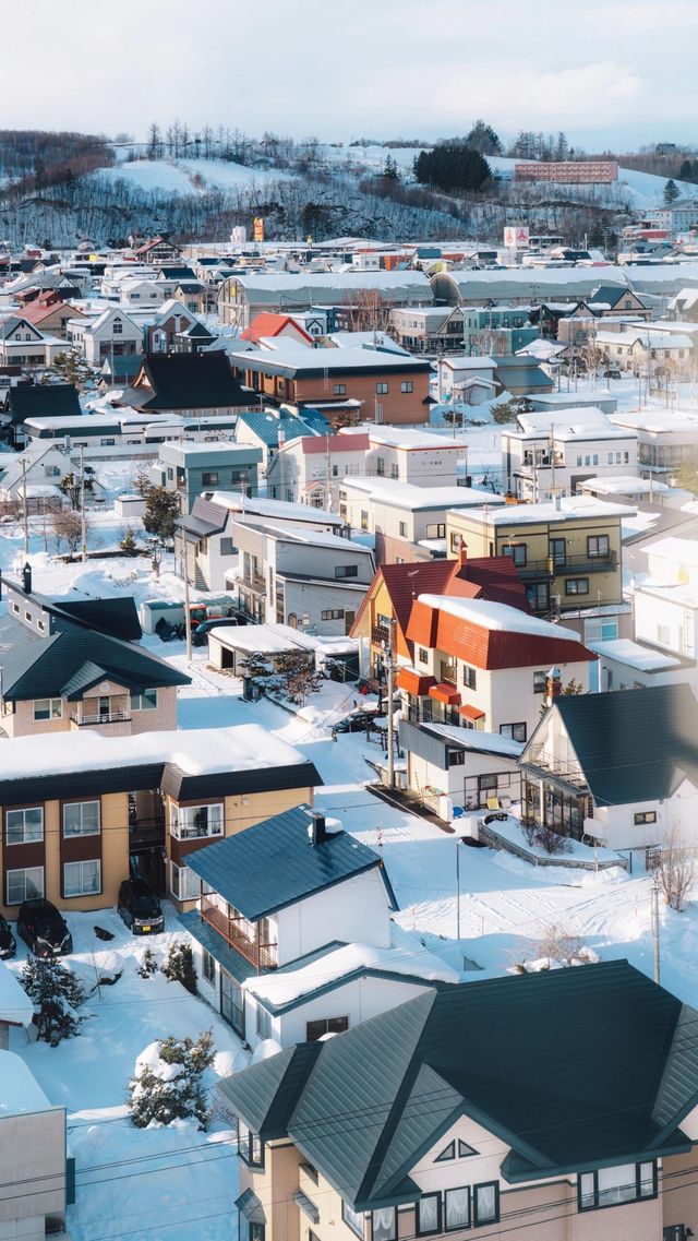 美瑛｜我願稱之為最北海道的城市 慢節奏
