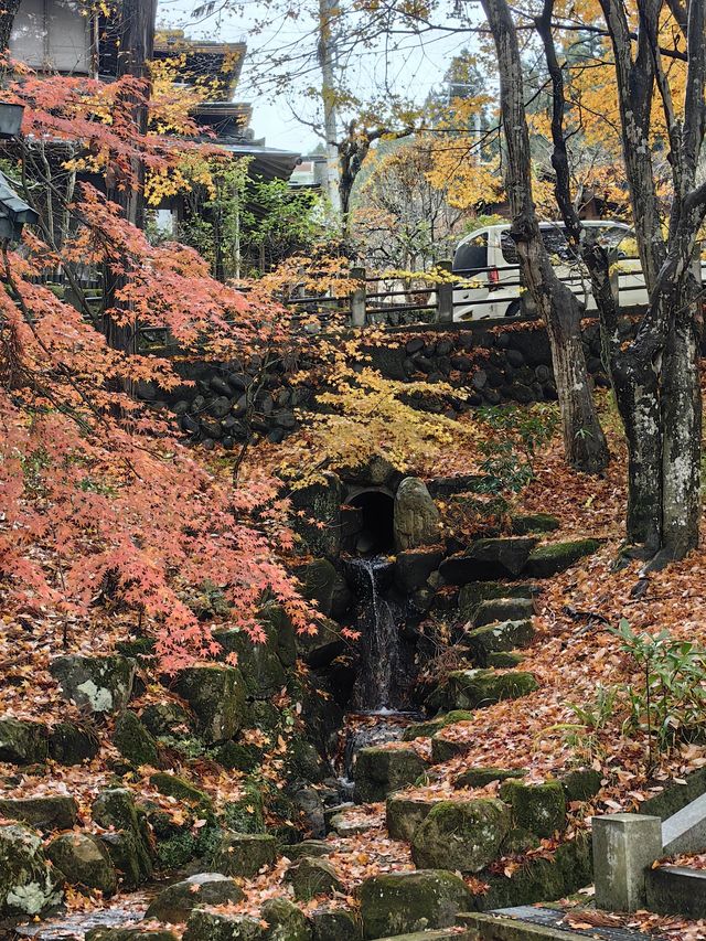 日本2日遊｜小長假超全攻略不走彎路