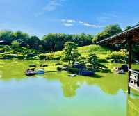 這裏是連日本當地人都鮮為人知的賞櫻秘境，它就藏在堺市大仙公園！