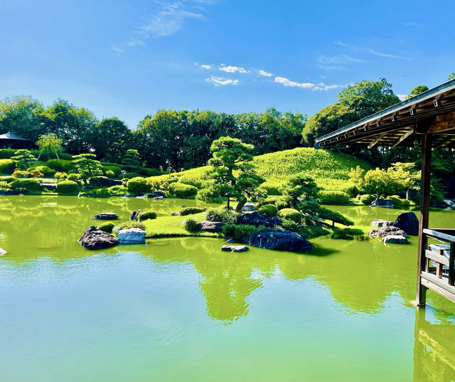 這裏是連日本當地人都鮮為人知的賞櫻秘境，它就藏在堺市大仙公園！