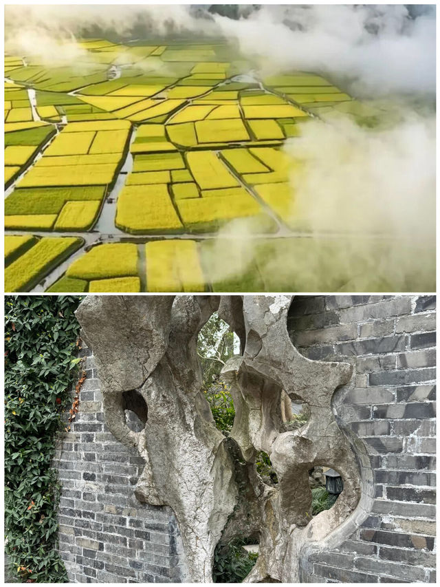 第一次去興化，直接複製這條路線