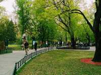 Purple Bamboo Park in Beijing: Pure Tranquility Hideout