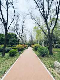 西安～高新區嘅中央公園