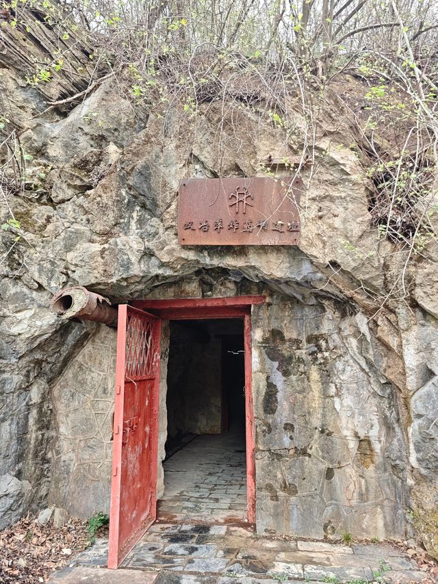 最適合武漢週末春遊、親子遊嘅地方出現啦！